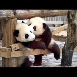 Meet your Posher, Vilma